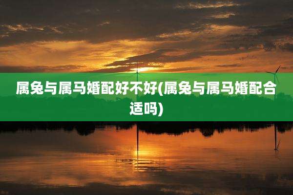 属兔与属马婚配好不好(属兔与属马婚配合适吗)