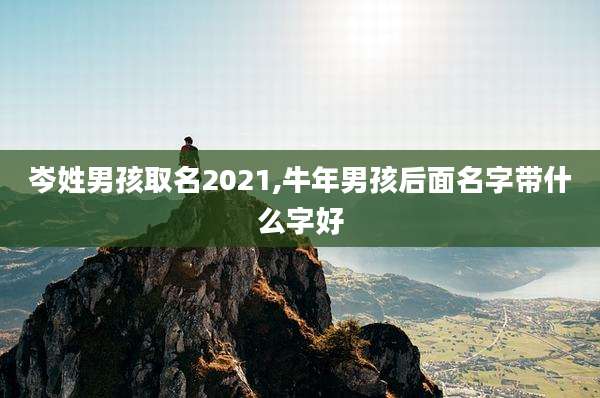 岑姓男孩取名2021,牛年男孩后面名字带什么字好