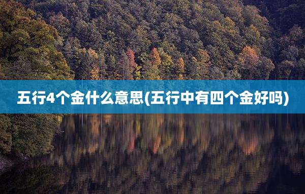 五行4个金什么意思(五行中有四个金好吗)