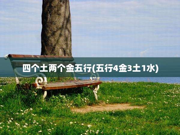 四个土两个金五行(五行4金3土1水)