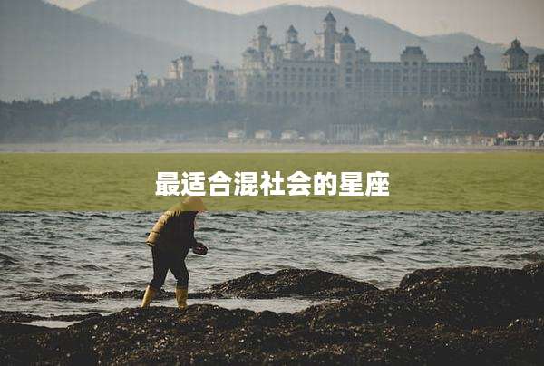 最适合混社会的星座