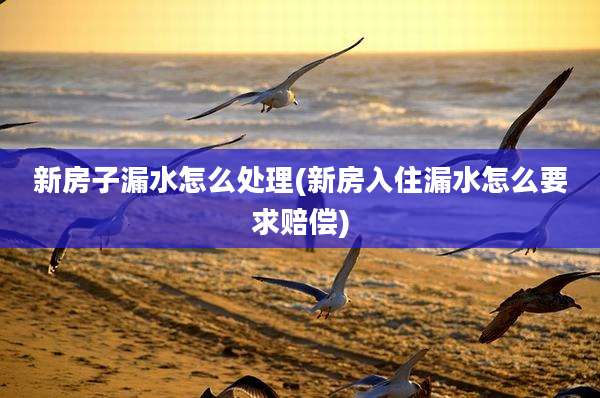 新房子漏水怎么处理(新房入住漏水怎么要求赔偿)