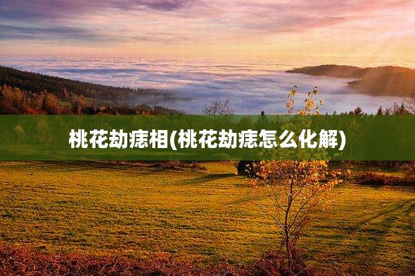 桃花劫痣相(桃花劫痣怎么化解)