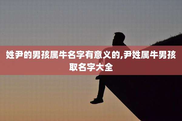 姓尹的男孩属牛名字有意义的,尹姓属牛男孩取名字大全