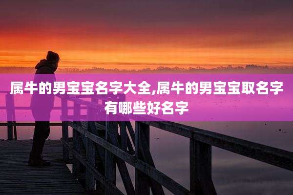 属牛的男宝宝名字大全,属牛的男宝宝取名字有哪些好名字