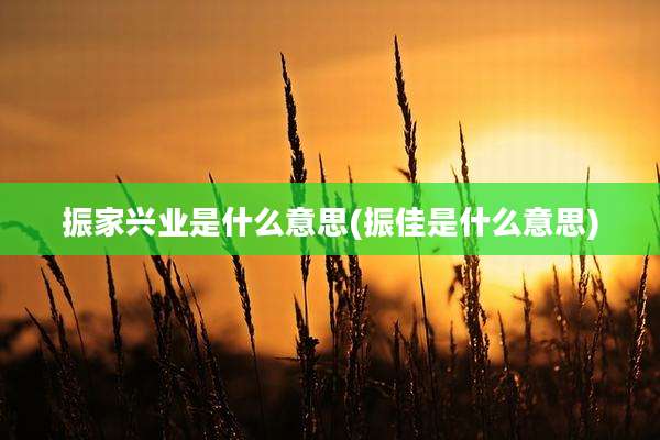 振家兴业是什么意思(振佳是什么意思)