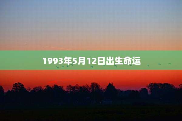 1993年5月12日出生命运