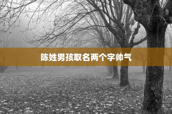 陈姓男孩取名两个字帅气
