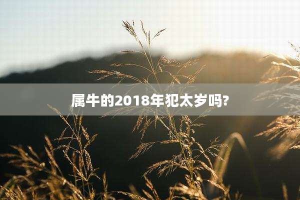 属牛的2018年犯太岁吗?