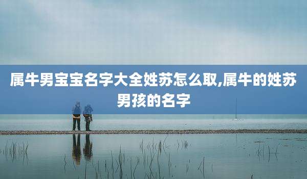 属牛男宝宝名字大全姓苏怎么取,属牛的姓苏男孩的名字
