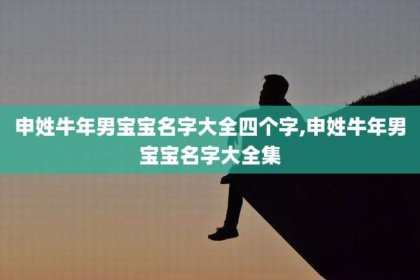 申姓牛年男宝宝名字大全四个字,申姓牛年男宝宝名字大全集