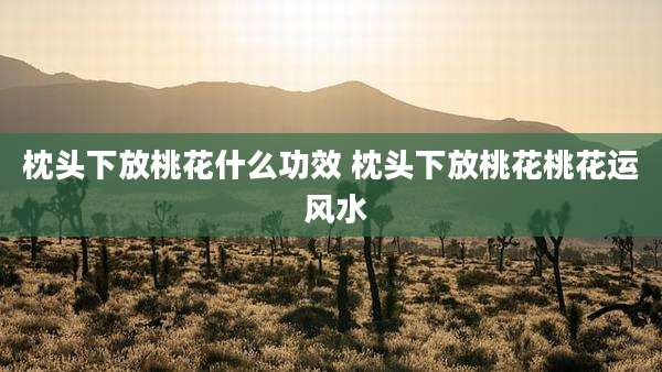枕头下放桃花什么功效 枕头下放桃花桃花运 风水