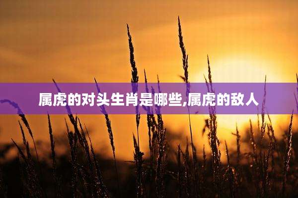 属虎的对头生肖是哪些,属虎的敌人