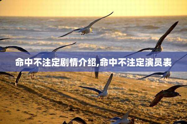 命中不注定剧情介绍,命中不注定演员表