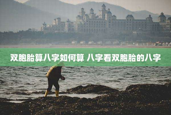 双胞胎算八字如何算 八字看双胞胎的八字