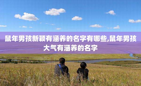 鼠年男孩新颖有涵养的名字有哪些,鼠年男孩大气有涵养的名字