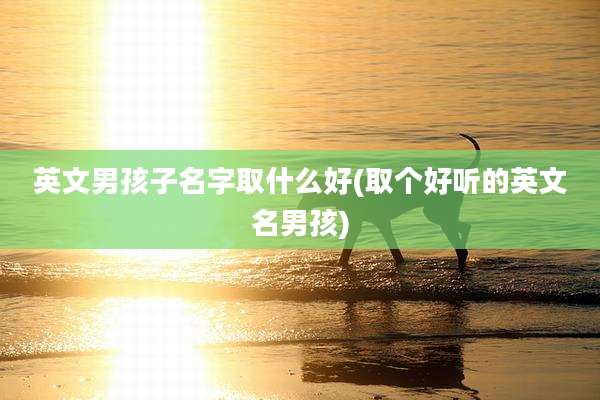 英文男孩子名字取什么好(取个好听的英文名男孩)