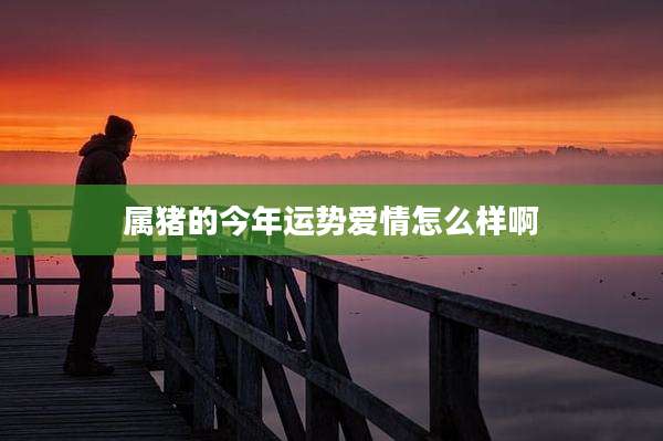 属猪的今年运势爱情怎么样啊