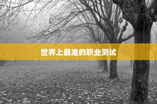 世界上最准的职业测试
