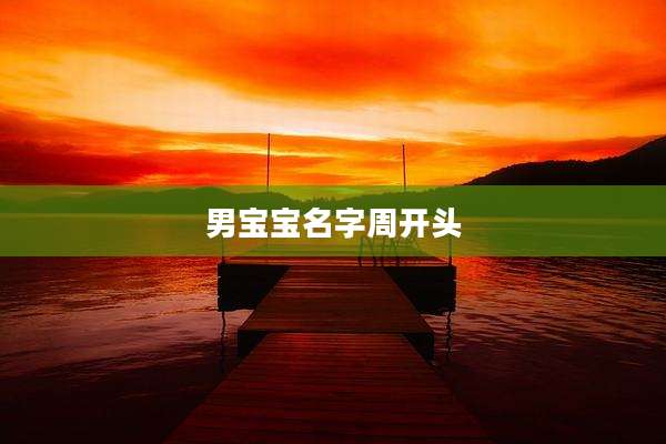 男宝宝名字周开头