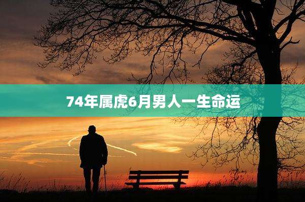 74年属虎6月男人一生命运