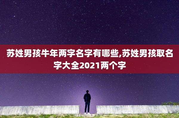 苏姓男孩牛年两字名字有哪些,苏姓男孩取名字大全2021两个字