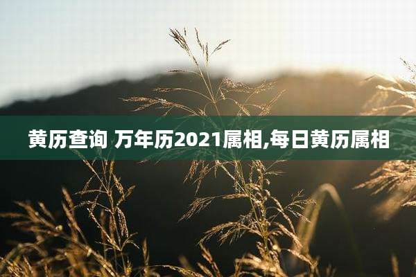 黄历查询 万年历2021属相,每日黄历属相