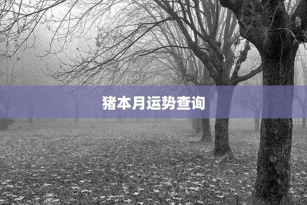 猪本月运势查询