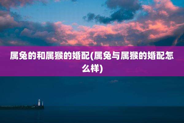 属兔的和属猴的婚配(属兔与属猴的婚配怎么样)