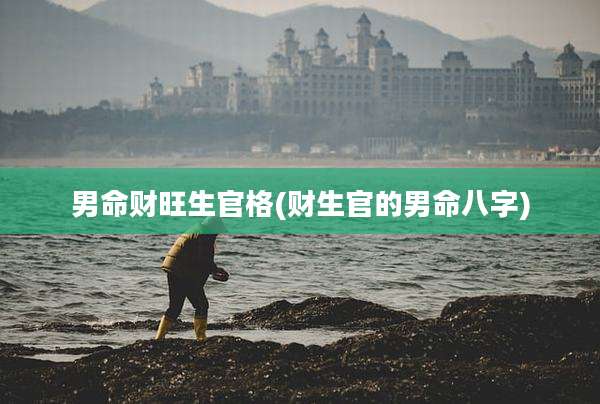 男命财旺生官格(财生官的男命八字)