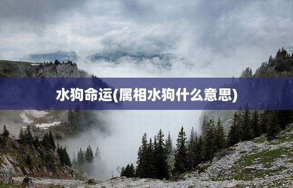 水狗命运(属相水狗什么意思)