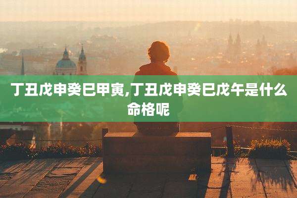 丁丑戊申癸巳甲寅,丁丑戊申癸巳戊午是什么命格呢
