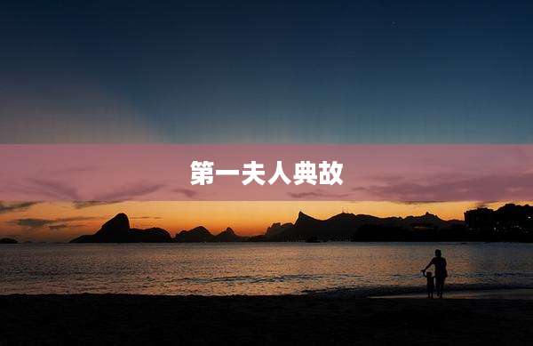 第一夫人典故
