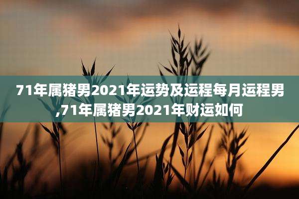 71年属猪男2021年运势及运程每月运程男,71年属猪男2021年财运如何