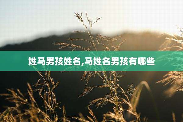 姓马男孩姓名,马姓名男孩有哪些