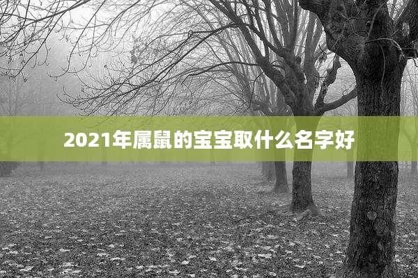 2021年属鼠的宝宝取什么名字好
