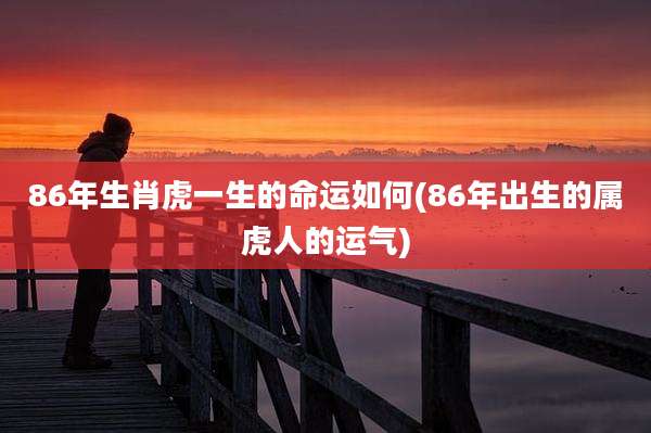 86年生肖虎一生的命运如何(86年出生的属虎人的运气)