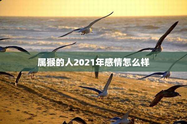 属猴的人2021年感情怎么样
