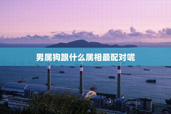 男属狗跟什么属相最配对呢