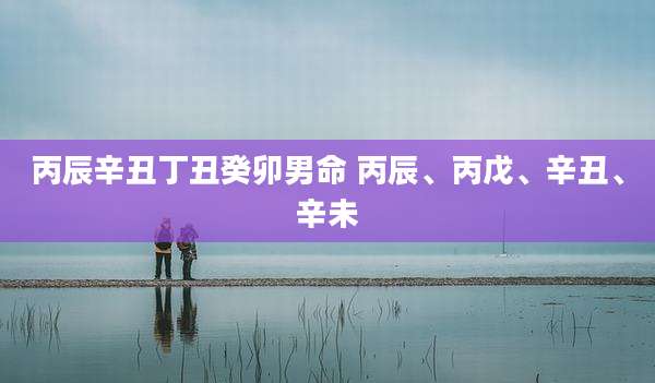 丙辰辛丑丁丑癸卯男命 丙辰、丙戊、辛丑、辛未