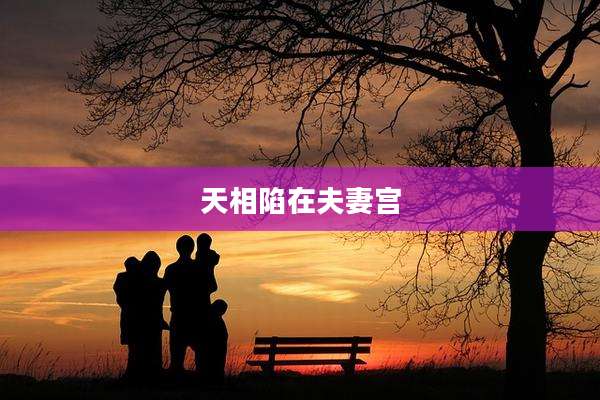 天相陷在夫妻宫