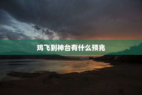 鸡飞到神台有什么预兆