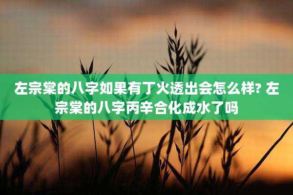 左宗棠的八字如果有丁火透出会怎么样? 左宗棠的八字丙辛合化成水了吗