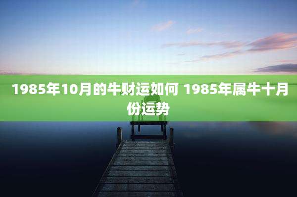 1985年10月的牛财运如何 1985年属牛十月份运势