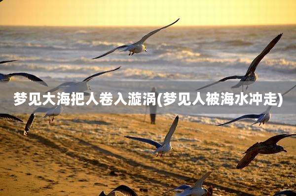 梦见大海把人卷入漩涡(梦见人被海水冲走)