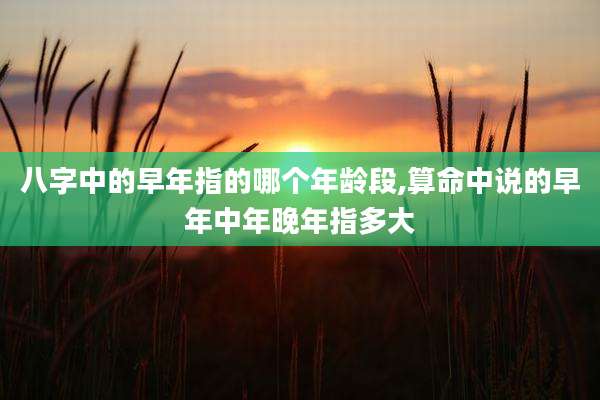 八字中的早年指的哪个年龄段,算命中说的早年中年晚年指多大