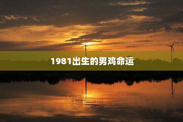 1981出生的男鸡命运