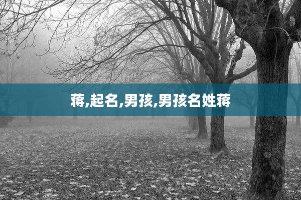 蒋,起名,男孩,男孩名姓蒋