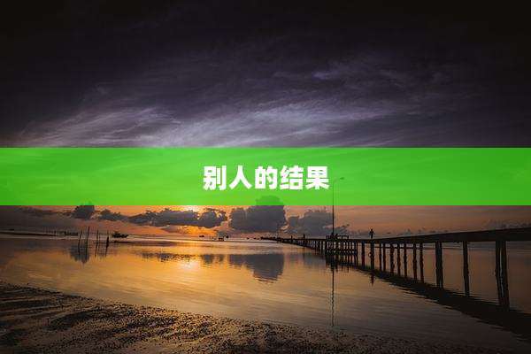 别人的结果