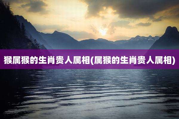 猴属猴的生肖贵人属相(属猴的生肖贵人属相)